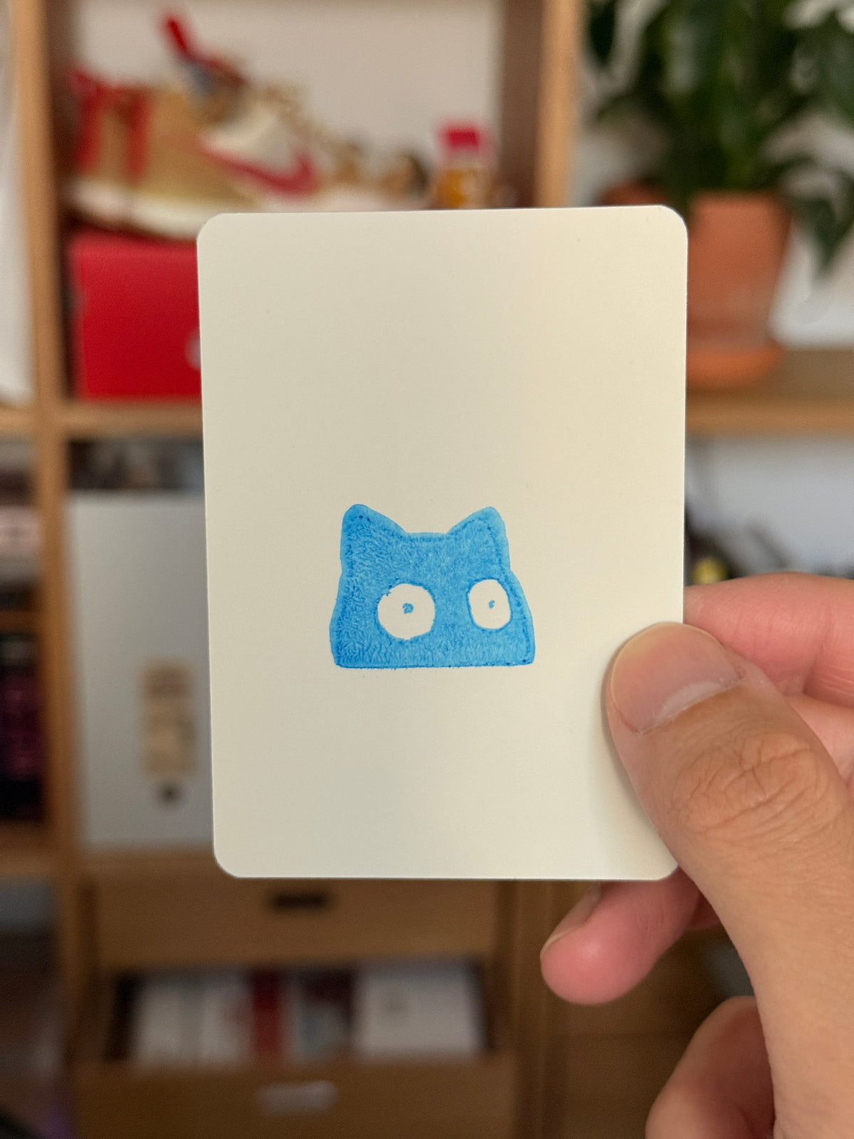 LIMITED PREORDER: McLovin